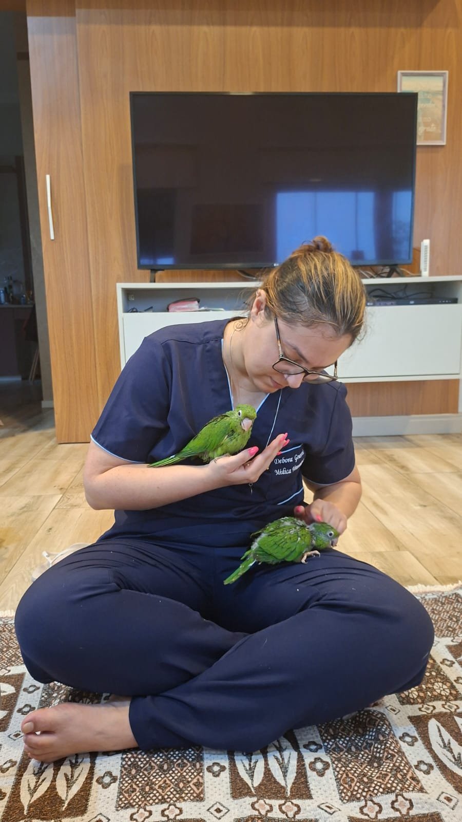 Cuidado veterinário integrativo